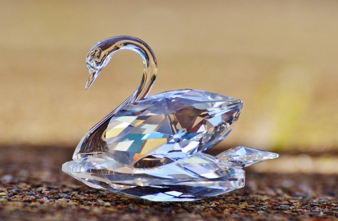 swarovski px swarovski