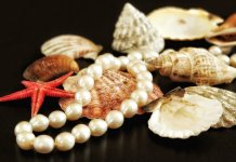 İnci inci-pearl