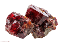 Garnet Grubu Garnet Grubu